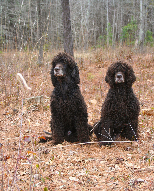 Missy and Joye - the couple